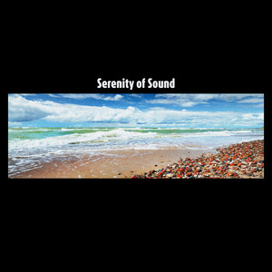 Cover del sencillo Serenity of Sound